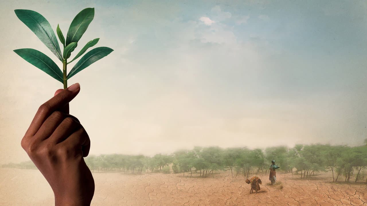 Szene aus The Great Green Wall