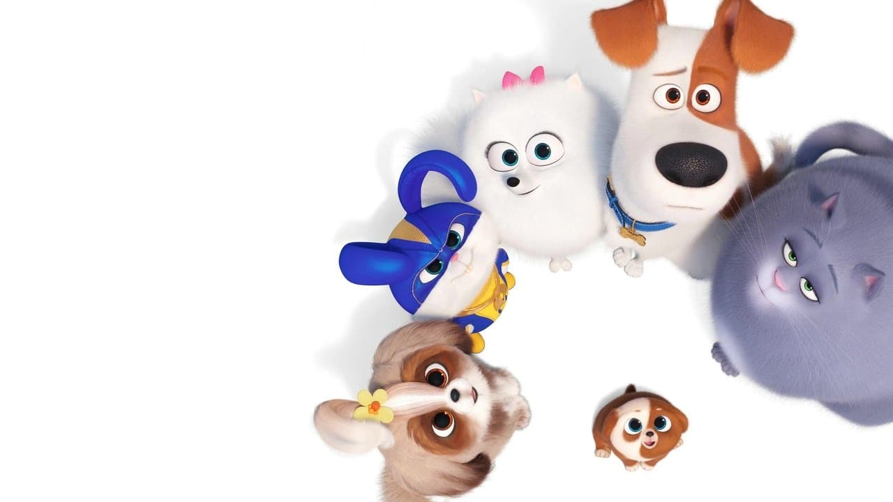 Szene aus Pets 2