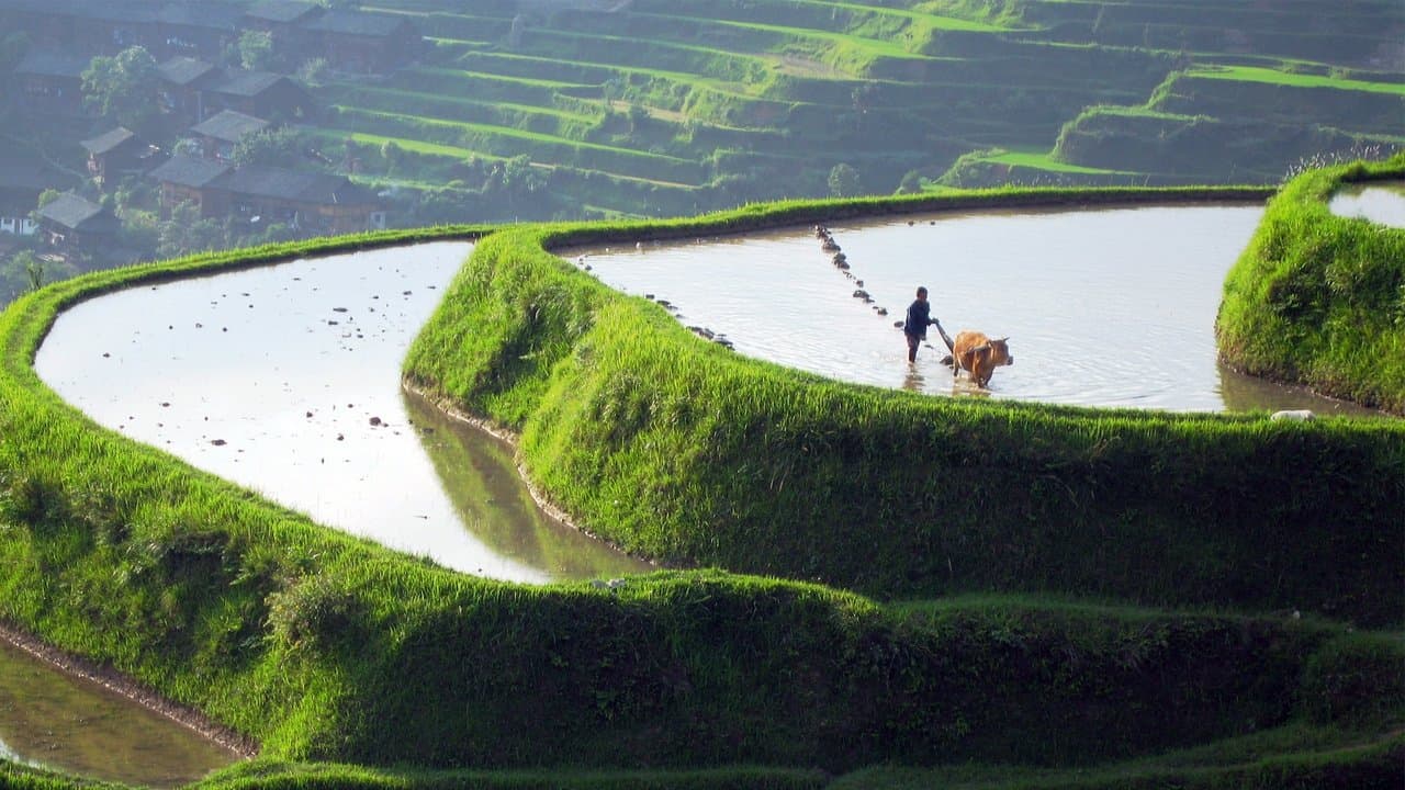 Szene aus Wildes China
