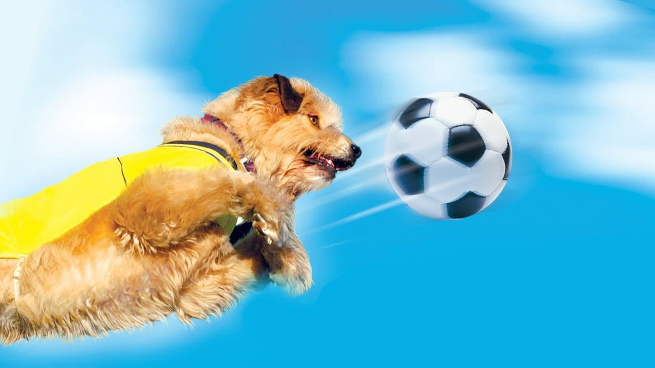 Szene aus Soccer Dog: European Cup