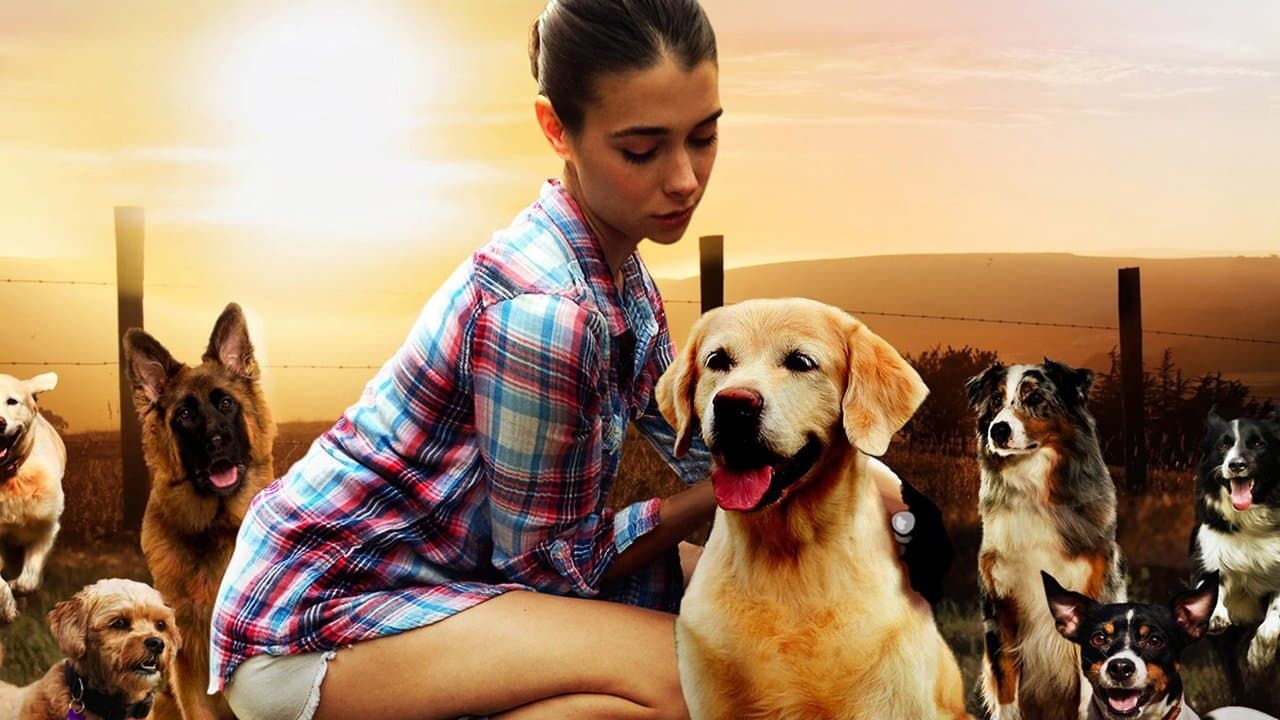 Szene aus Dog Lover