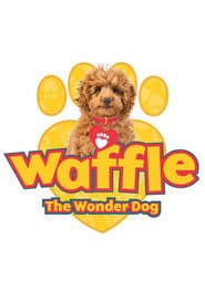 Wuffel, der Wunderhund