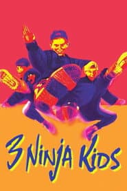 3 Ninja Kids
