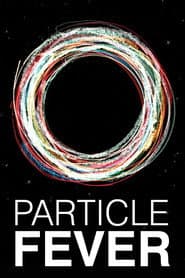 Particle Fever - Die Jagd nach dem Higgs