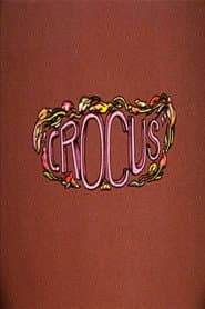 Crocus