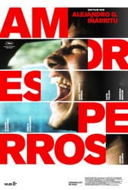 Amores perros