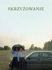 Die Kreuzung