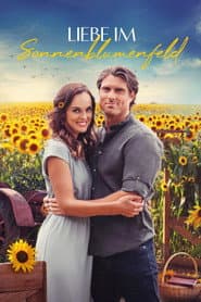 Liebe im Sonnenblumenfeld
