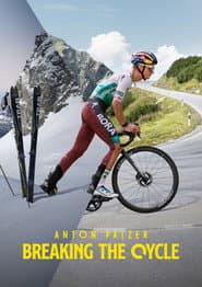 Anton Palzer - Breaking the Cycle