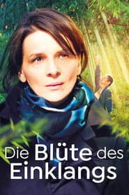 Die Blüte des Einklangs