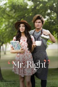 Liebe zwischen den Zeilen - Mr. Right