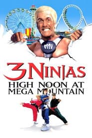 3 Ninja Kids - Mission Freizeitpark