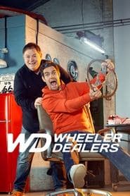 Die Gebrauchtwagen Profis