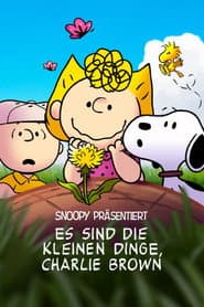 Snoopy präsentiert: Es sind die kleinen Dinge, Charlie Brown