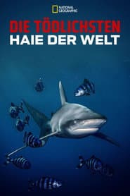 Die tödlichsten Haie der Welt