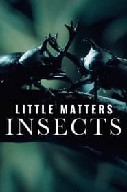 Little Matters: Insects