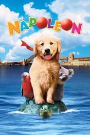 Napoleon - Abenteuer auf vier Pfoten
