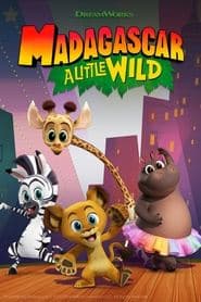 Madagascar – Die kleine Wildnis