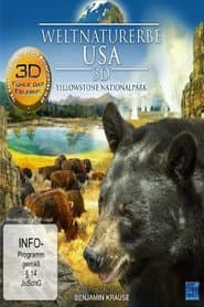 Weltnaturerbe USA 3D - Yellowstone Nationalpark