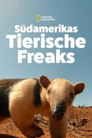 South America's Weirdest Animals