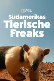 South America's Weirdest Animals