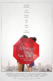A Rainy Day in New York