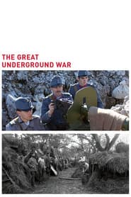 Der Erste Weltkrieg unter Tage