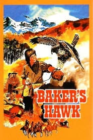 Bakers Habicht