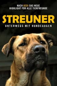 Streuner - Unterwegs mit Hundeaugen