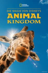 Die Magie von Disney's Animal Kingdom