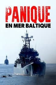 Panik vor Putin  - Russland, das Baltikum und die NATO