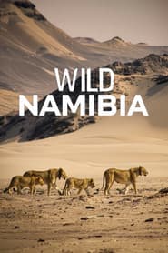 Namibia - Flüsse Aus Sand