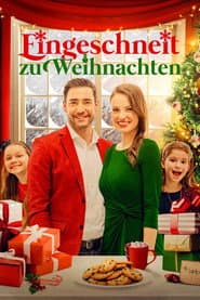 Eingeschneit zu Weihnachten