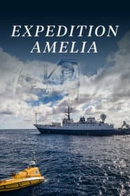 Amelia Earhart - Suche nach einer Legende