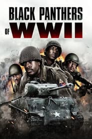 Black Panthers of WWII - Amerikas wahre Helden