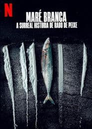 Weißes Meer: Die surreale Story von Rabo de Peixe