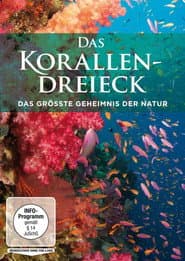 Das Korallendreieck
