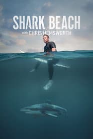 Der Strand der Haie mit Chris Hemsworth