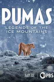 Pumas - Legenden der Anden