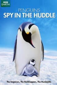 Pinguine hautnah