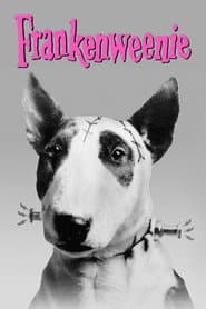 Frankenweenie