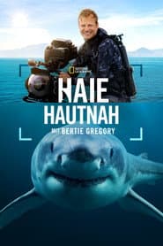 Haie hautnah mit Bertie Gregory