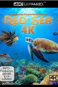 Red Sea 4K
