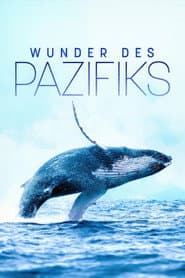 Wunder des Pazifiks