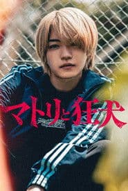 マトリと狂犬