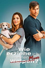 Wie erziehe ich meinen Mann?
