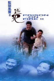 Prison on Fire 2