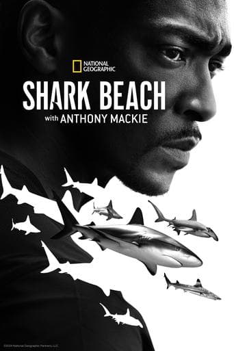 Der Strand der Haie mit Anthony Mackie: Golfküste