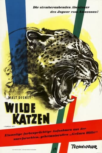 Wilde Katzen