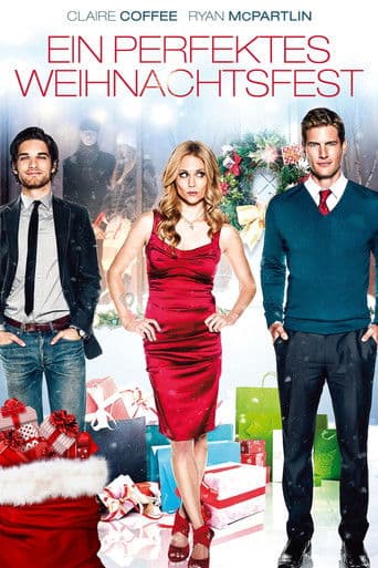 Ein perfektes Weihnachtsfest